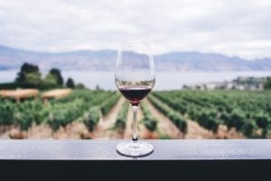 Kelowna vineyard with glass of wine in foreground and okanagan valley and lake in background, highlight activities that a central summer cottage alternative offers